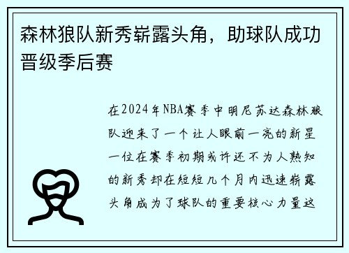 森林狼队新秀崭露头角，助球队成功晋级季后赛